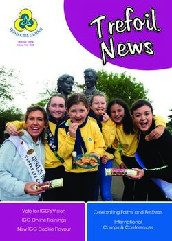 Vote for IGG's Vision Celebrating Faiths and Festivals - Irish Girl Guides