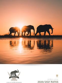 JABULANI 2020/2021 RATES - Jabulani Safari