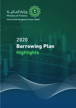 Borrowing Plan 2020 National Debt Management Center (NDMC)
