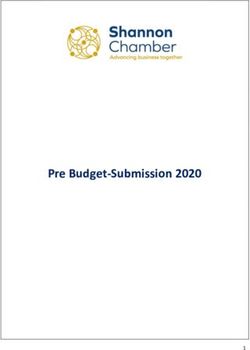 Pre Budget-Submission 2020 - Shannon Chamber