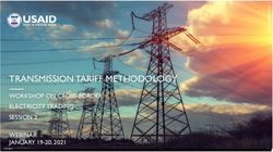 TRANSMISSION TARIFF METHODOLOGY - WORKSHOP ON CROSS-BORDER ELECTRICITY TRADING SESSION 2 WEBINAR JANUARY 19-20, 2021