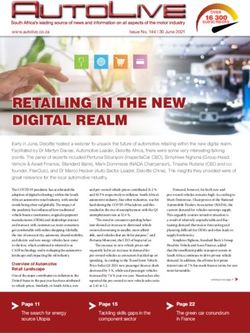 RETAILING IN THE NEW DIGITAL REALM - AutoLive