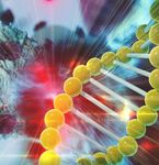 NEW FRONTIERS IN CANCER RESEARCH 2019 - #VCCCpostdoc19 - VCCC Symposium - Victorian ...