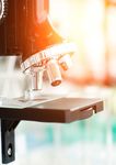 NEW FRONTIERS IN CANCER RESEARCH 2019 - #VCCCpostdoc19 - VCCC Symposium - Victorian ...