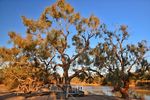 Lake Eyre by Air Wednesday 21st to Tuesday 27th August 2019 - Insights Tours