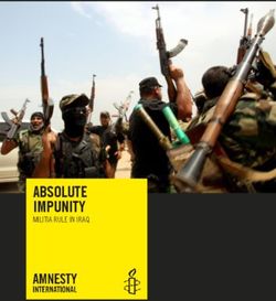 ABSOLUTE IMPUNITY MILITIA RULE IN IRAQ
