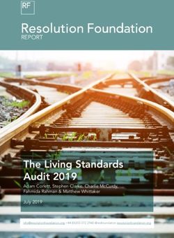 THE LIVING STANDARDS AUDIT 2019 - ADAM CORLETT, STEPHEN CLARKE, CHARLIE MCCURDY, FAHMIDA RAHMAN & MATTHEW WHITTAKER JULY 2019 - RESOLUTION FOUNDATION
