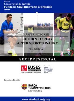 RETURN TO PLAY AFTER SPORT'S INJURY - MASTER'S DEGREE 8th Edition - www.fundacioudg.org - Euses Girona