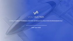 CASSIO: COMMENT &Eacute;LIMINER L'AVIATION G&Eacute;N&Eacute;RALE DE L'&Eacute;QUATION ENVIRONNEMENTALE - ANRT April 2022
