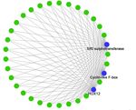 Global Transcriptome Changes of Elongating Internode of Sugarcane in Response to Mepiquat Chloride
