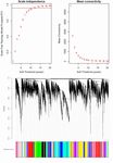Global Transcriptome Changes of Elongating Internode of Sugarcane in Response to Mepiquat Chloride