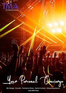 Your Personal Concierge - Bon Voyage - Concerts - Festivals & Shows - Sports & Leisure - Unique Experiences - TMA International