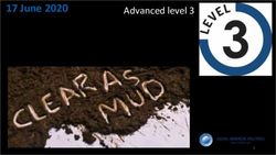 17 June 2020 Advanced level 3 - Level applicable? - Global Business Solutions