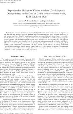 Reproductive biology of Eledone moschata Cephalopoda: Octopodidae in the Gulf of Ca diz south-western Spain