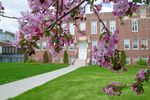Comprehensive Institutional Plan 2019/2020-2021/2022 - Concordia University of ...