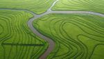 Global Landscape of Climate Finance 2021 - Preview Supported by