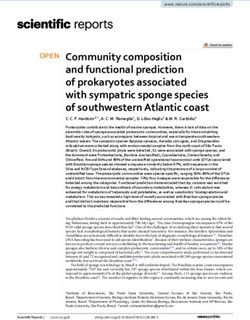 Community composition and functional prediction of prokaryotes associated with sympatric sponge species of southwestern Atlantic coast