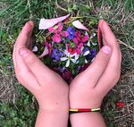 JUNE 6 - AUGUST 5, 2022 - 5209 Waterman Blvd St. Louis, MO 63108 newcityschool.org/summercamp - New City School