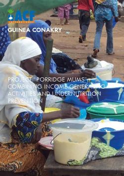 GUINEA CONAKRY PROJECT "PORRIDGE MUMS": COMBINING INCOME GENERATING ACTIVITIES AND UNDERNUTRITION PREVENTION