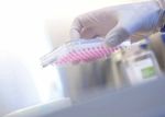 3D INSIGHT LIVER MICROTISSUES - HUMAN LIVER RAT LIVER HEPG2 LIVER TOXICOLOGY SERVICES