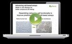 3D INSIGHT LIVER MICROTISSUES - HUMAN LIVER RAT LIVER HEPG2 LIVER TOXICOLOGY SERVICES