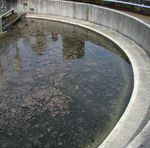 Plastics in the Environment Sources Sinks Solutions