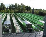 Plastics in the Environment Sources Sinks Solutions