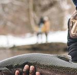 Freshwater Fishing DigestJanuary 2021 - Special Issue: Places to Fish in NJ - NJ.gov