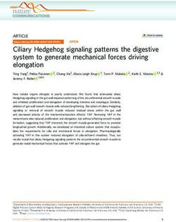 Ciliary Hedgehog signaling patterns the digestive system to generate mechanical forces driving elongation