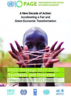 PAGE Strategy 2021-2030: Synthesis and Overview - Delivery Plan 2021-2025 (Phase 1)