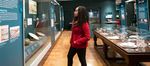 HARVARD MUSEUMS OFSCIENCE & CULTURE - SPRING/SUMMER 2023