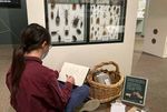 HARVARD MUSEUMS OFSCIENCE & CULTURE - SPRING/SUMMER 2023