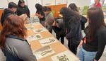 HARVARD MUSEUMS OFSCIENCE & CULTURE - SPRING/SUMMER 2023
