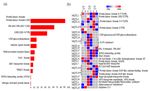 Meta-QTL Analysis for Stripe Rust Resistance in Wheat