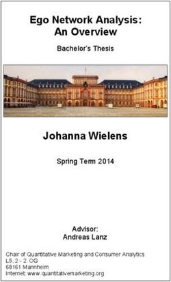 Ego Network Analysis: An Overview - Bachelor's Thesis Johanna Wielens