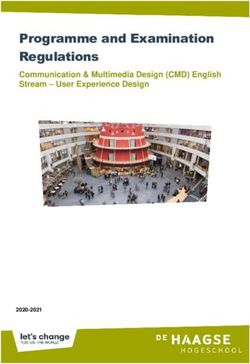 Programme and Examination Regulations - Communication & Multimedia Design (CMD) English Stream - User Experience Design - The Hague ...