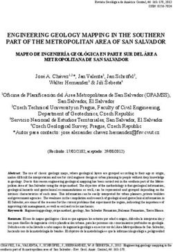 ENGINEERING GEOLOGY MAPPING IN THE SOUTHERN PART OF THE METROPOLITAN AREA OF SAN SALVADOR