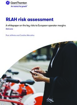 RLAH risk assessment A whitepaper on the key risks to European operator margins - 2nd June
