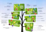 Warnbro Primary School Business Plan 2019 2021 - Our Community is Striving for Excellence and Compassion