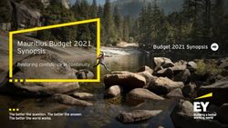 Mauritius Budget 2021 Synopsis - Budget 2021 Synopsis - EY