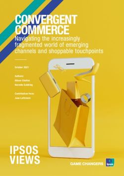CONVERGENT COMMERCE - IPSOS VIEWS