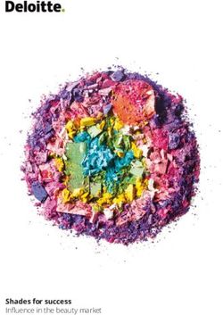 Shades for success Influence in the beauty market - Deloitte