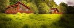 EPPING FOREST DISTRICT - VISITOR ACCOMMODATION NEEDS ASSESSMENT Phase 1 Report - EFDC Local Plan