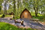 EPPING FOREST DISTRICT - VISITOR ACCOMMODATION NEEDS ASSESSMENT Phase 1 Report - EFDC Local Plan
