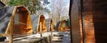 EPPING FOREST DISTRICT - VISITOR ACCOMMODATION NEEDS ASSESSMENT Phase 1 Report - EFDC Local Plan
