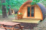 EPPING FOREST DISTRICT - VISITOR ACCOMMODATION NEEDS ASSESSMENT Phase 1 Report - EFDC Local Plan