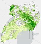 Providing Economic Lifelines - Gender-Transformative Global COVID-19 Recovery Plan