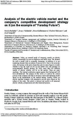 Analysis of the electric vehicle market and the company's competitive development strategy on it (on the example of "Faraday Future")