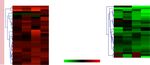 A conserved role for Snail as a potentiator of active transcription