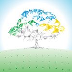 Cus ESG 100: A SOPHISTICATED SCORECARD - May 2021